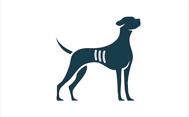 dog that's too skinny